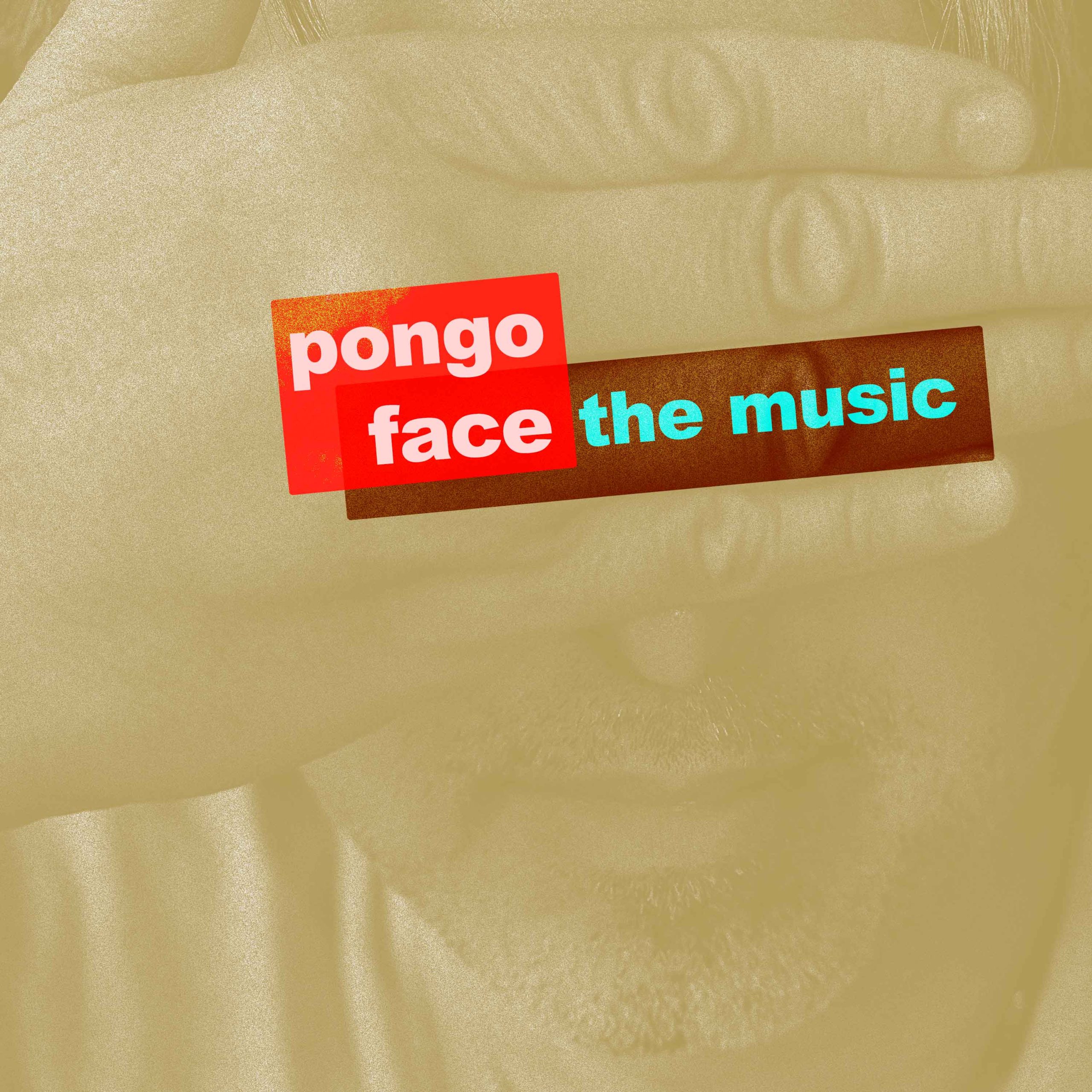 Pongo Face Album Cover